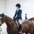 Jaeckle Center Hunter Show